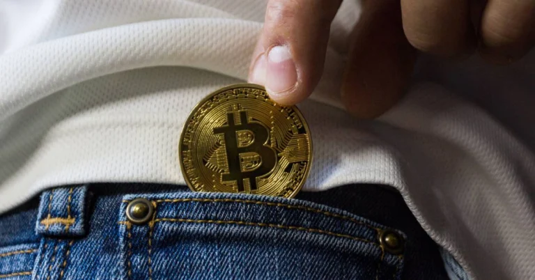 Billeteras de criptomonedas - Bolsillo - Moneda - Bitcoin